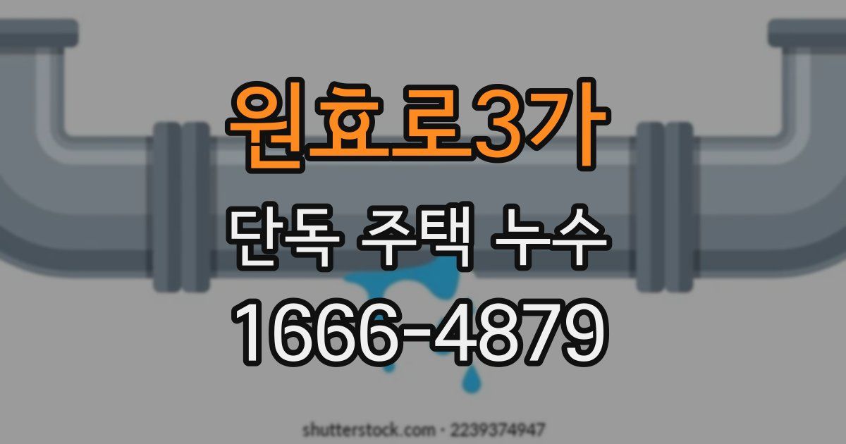 원효로3가 단독 주택 누수