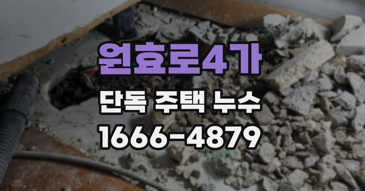 원효로4가 단독 주택 누수