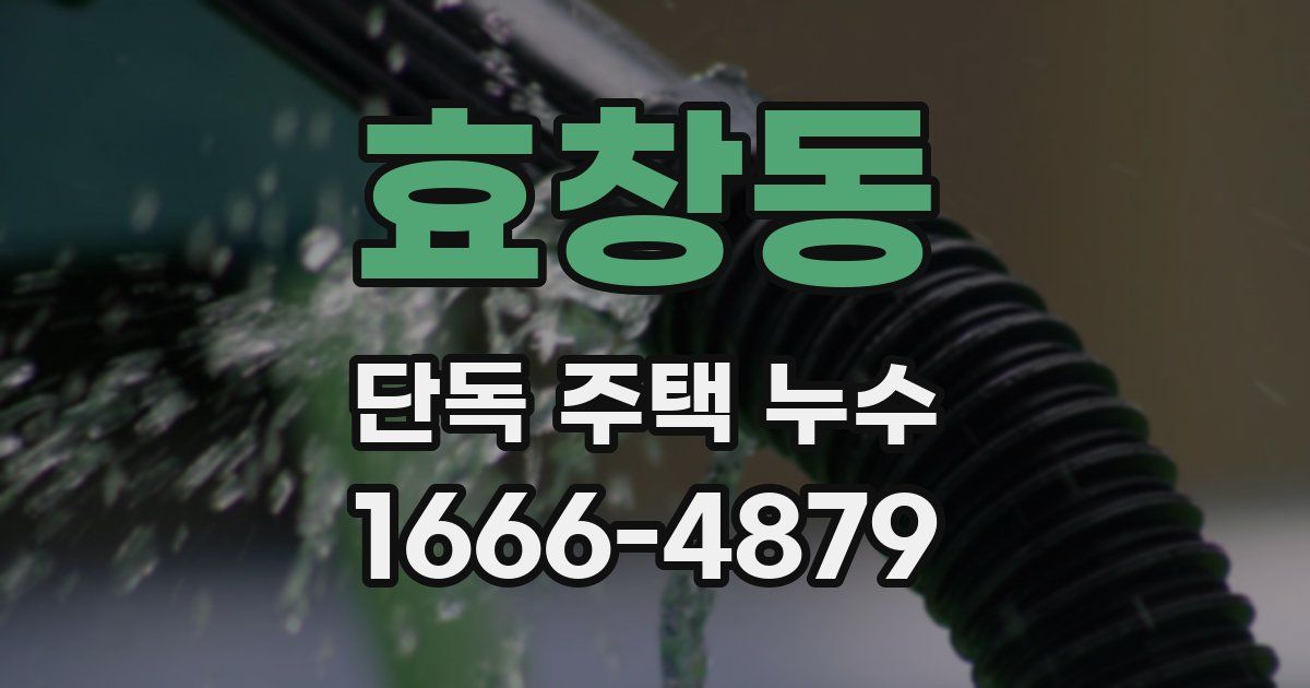 효창동 단독 주택 누수