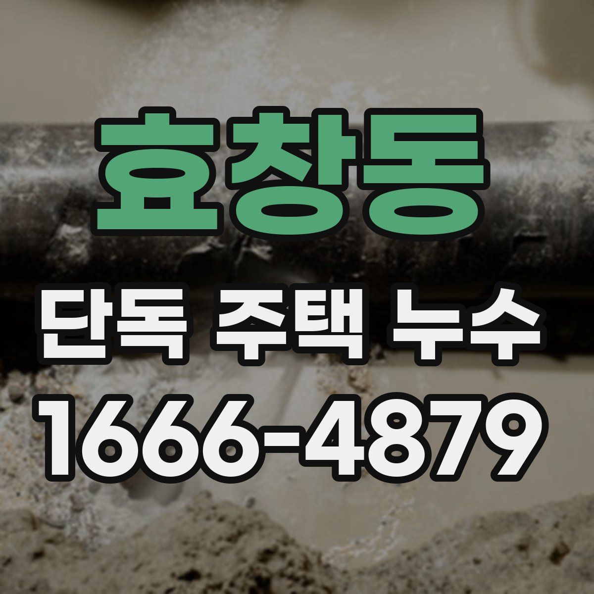 효창동 단독 주택 누수