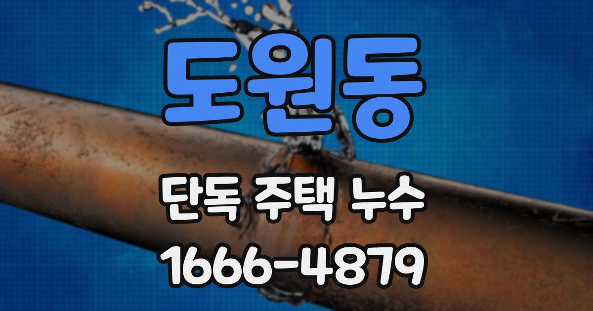 도원동 단독 주택 누수