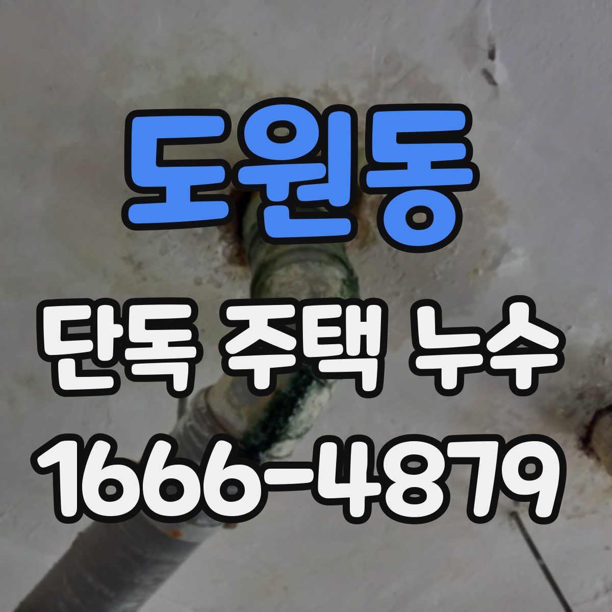 도원동 단독 주택 누수