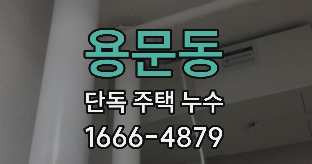 용문동 단독 주택 누수
