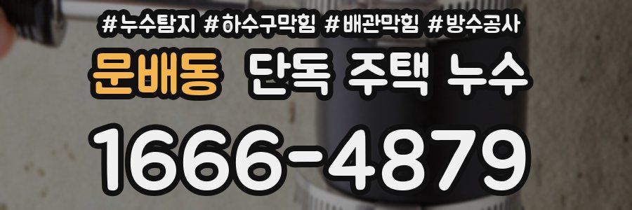 문배동 단독 주택 누수