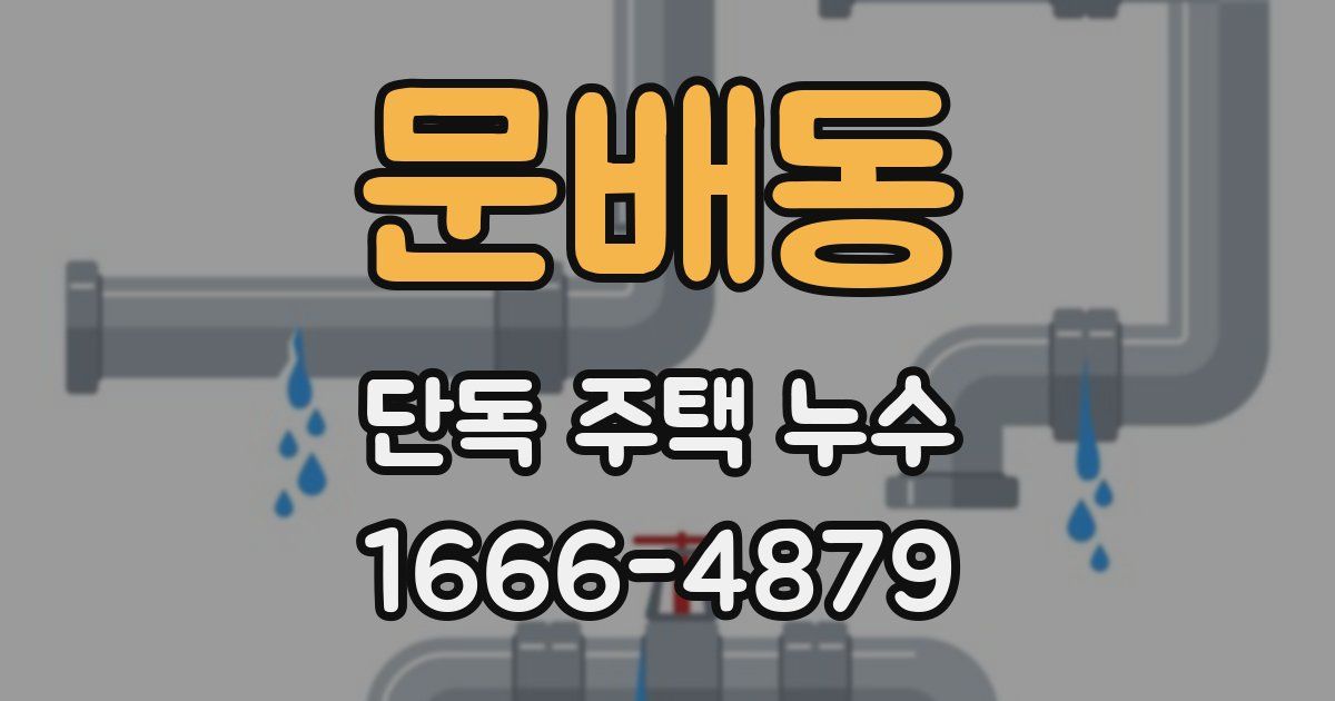 문배동 단독 주택 누수