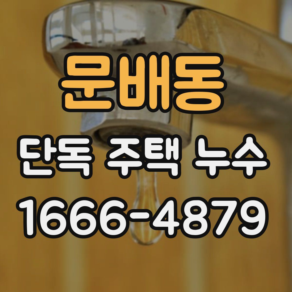 문배동 단독 주택 누수