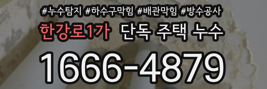 한강로1가 단독 주택 누수