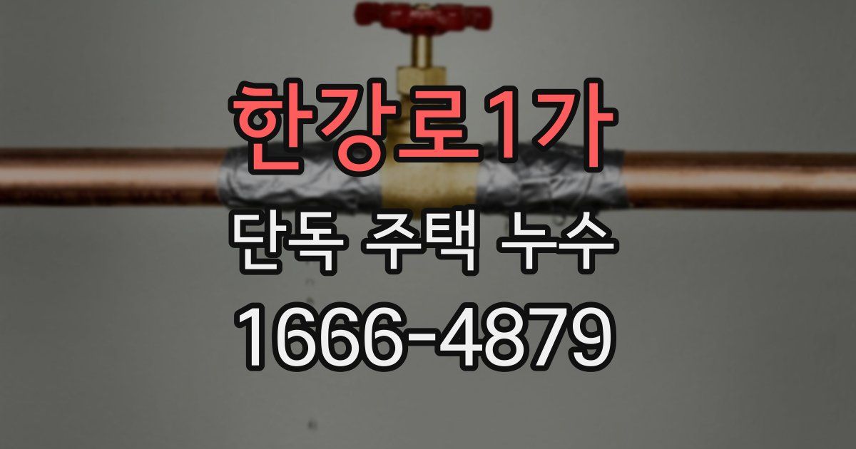한강로1가 단독 주택 누수
