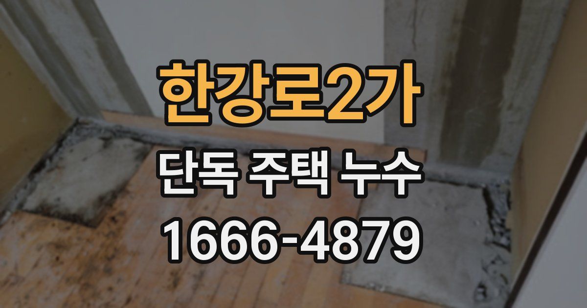 한강로2가 단독 주택 누수