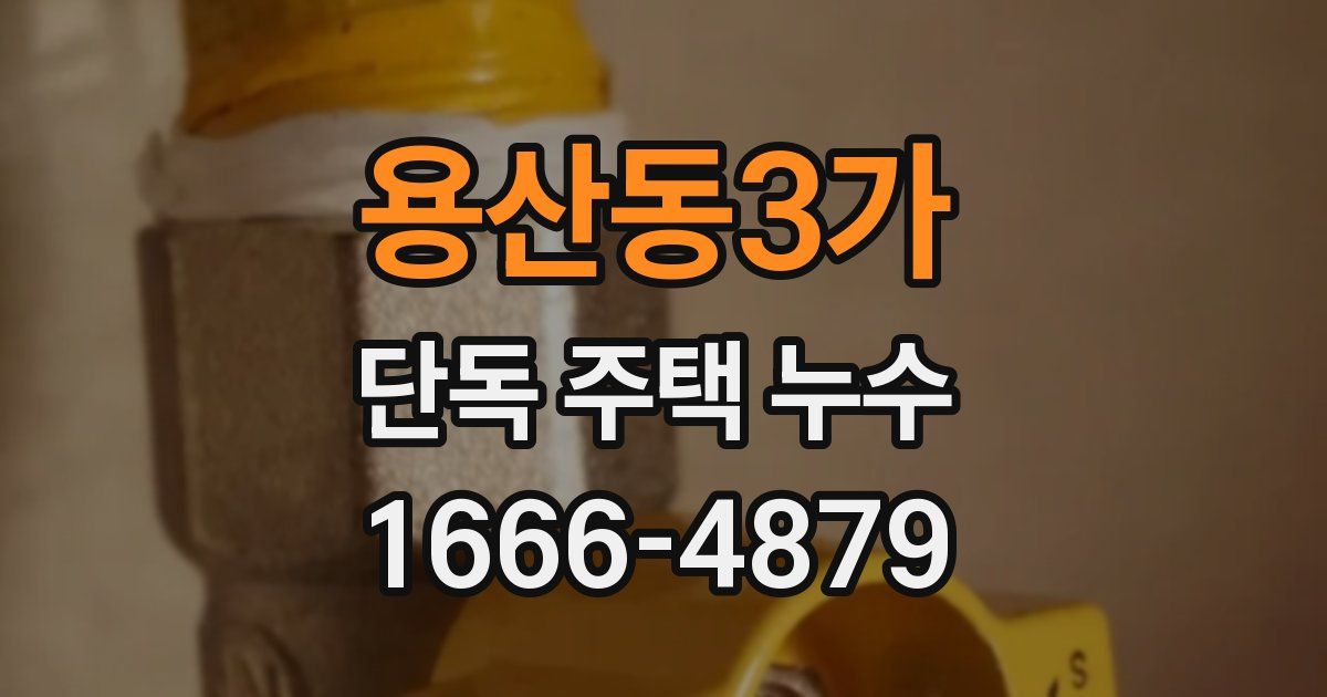 용산동3가 단독 주택 누수