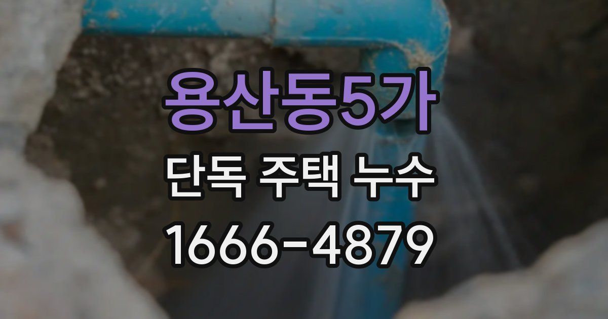 용산동5가 단독 주택 누수