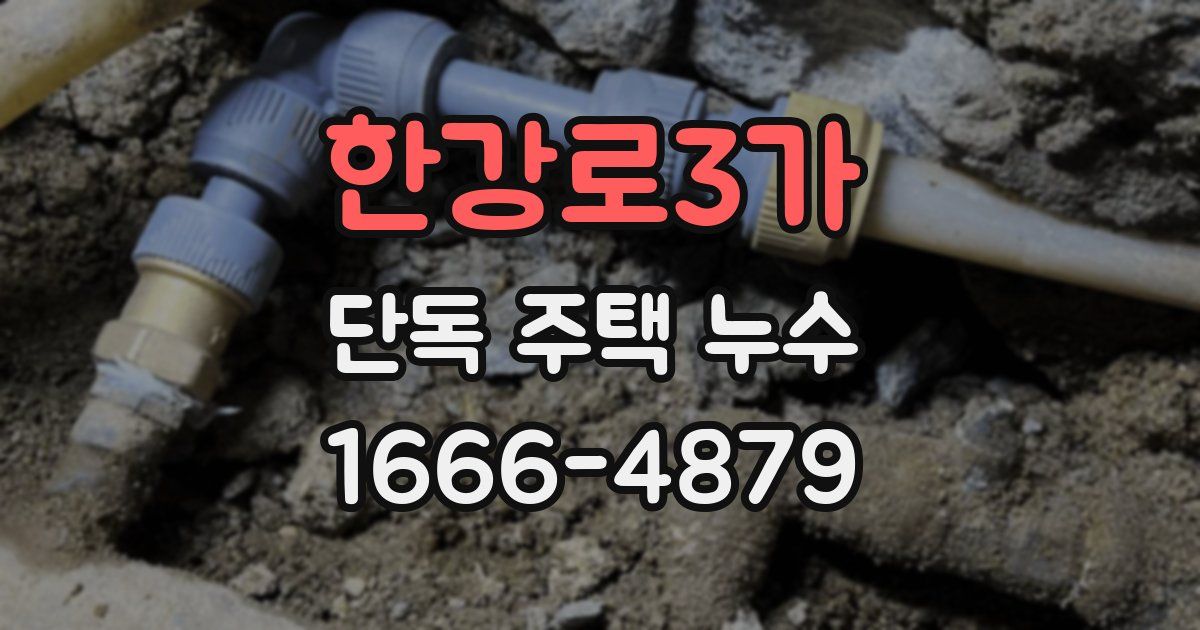 한강로3가 단독 주택 누수