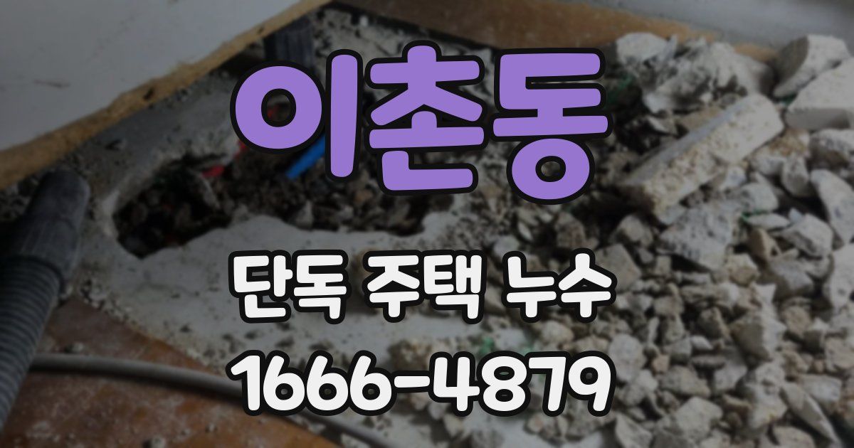 이촌동 단독 주택 누수