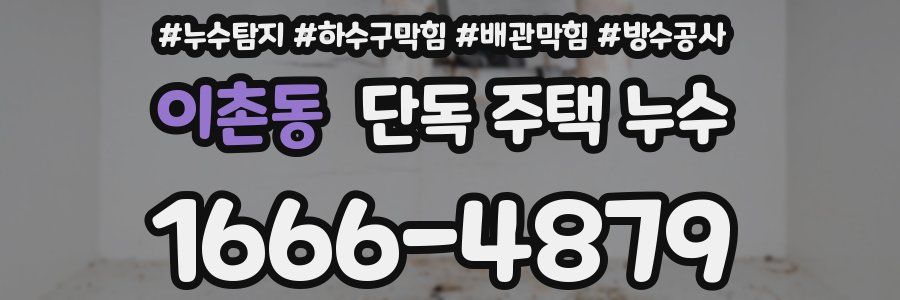 이촌동 단독 주택 누수