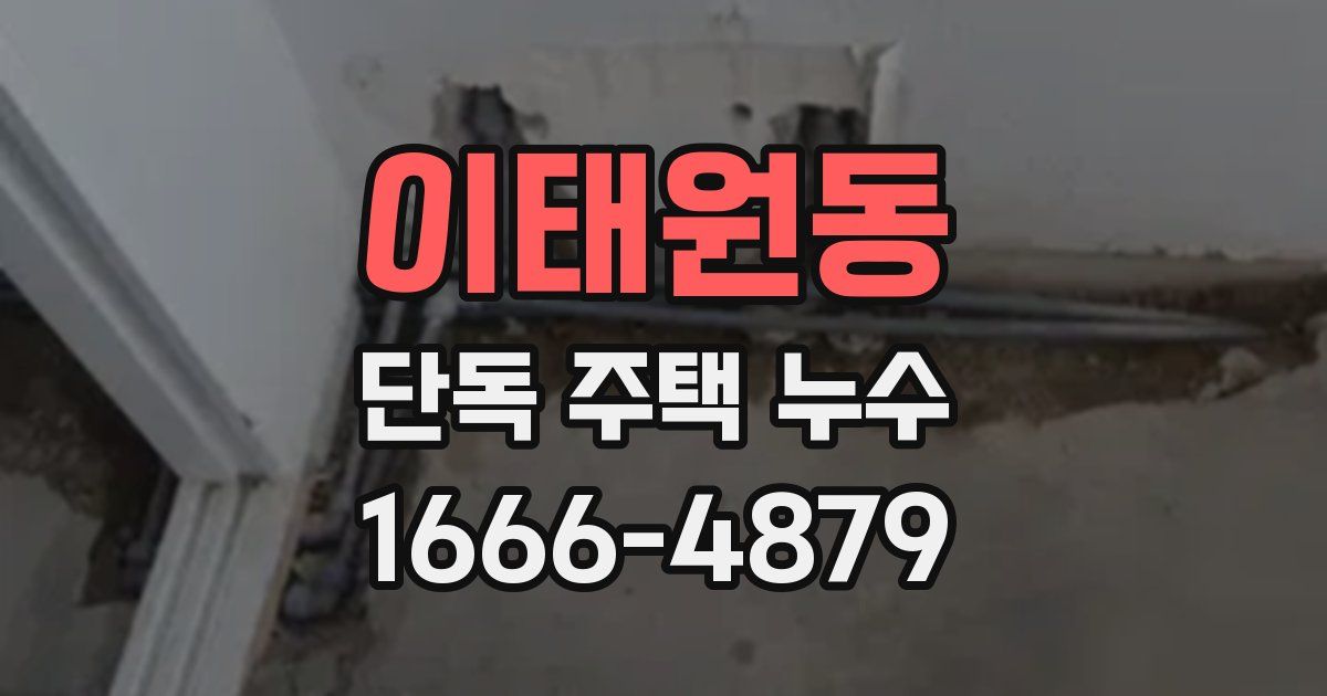 이태원동 단독 주택 누수
