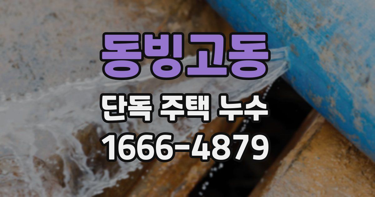 동빙고동 단독 주택 누수