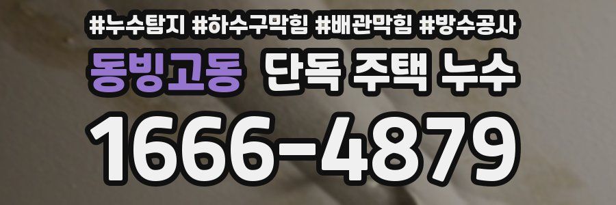 동빙고동 단독 주택 누수