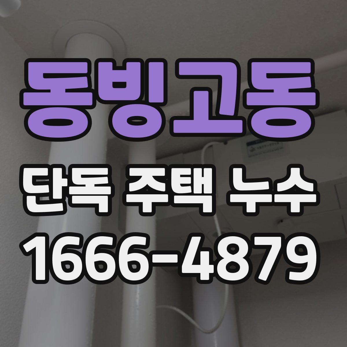 동빙고동 단독 주택 누수
