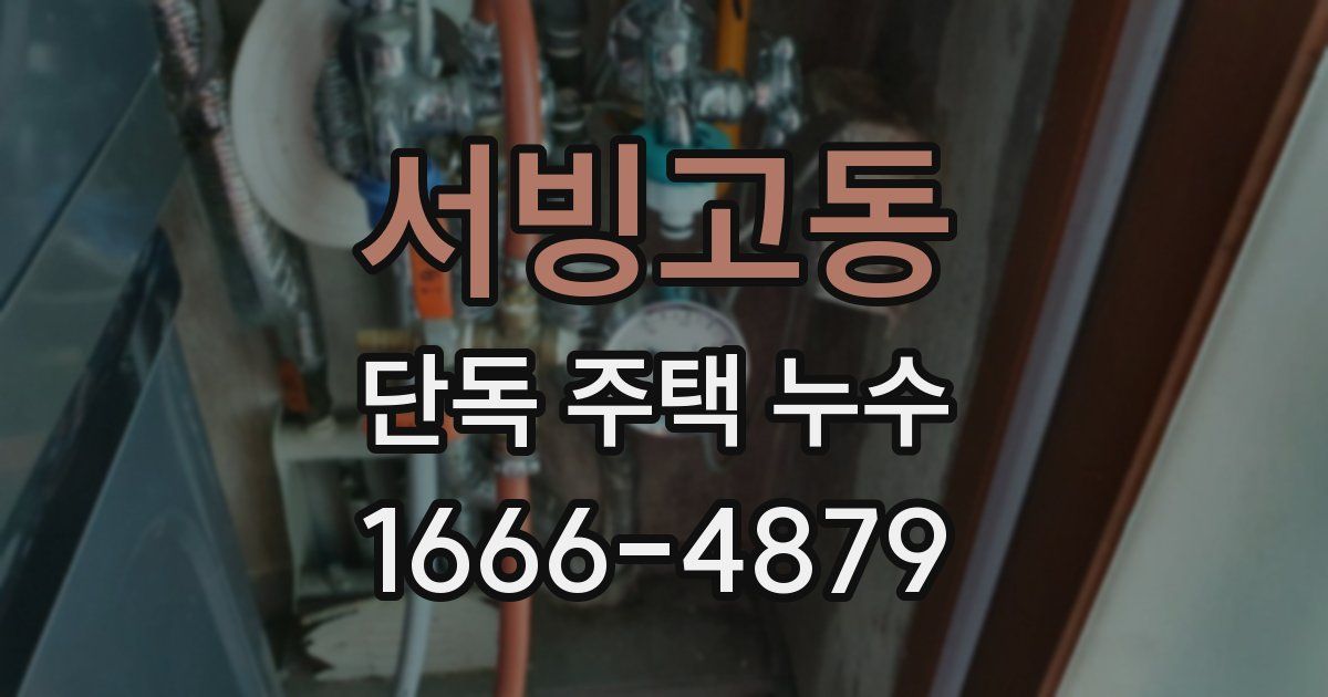 서빙고동 단독 주택 누수