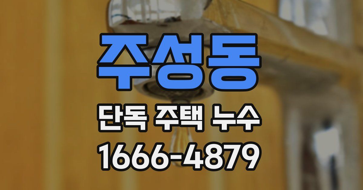 주성동 단독 주택 누수