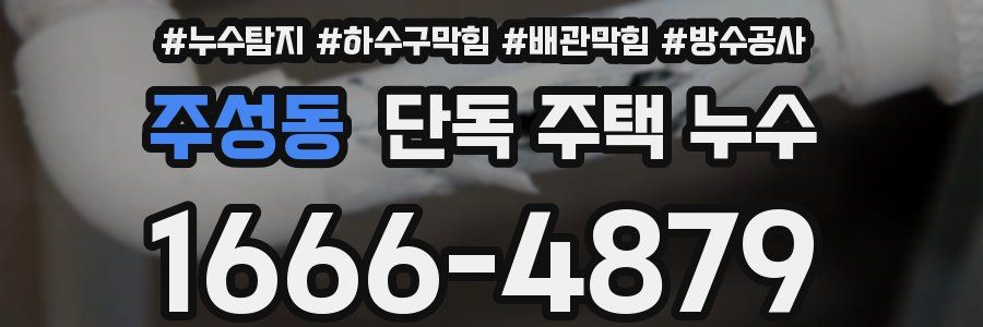 주성동 단독 주택 누수