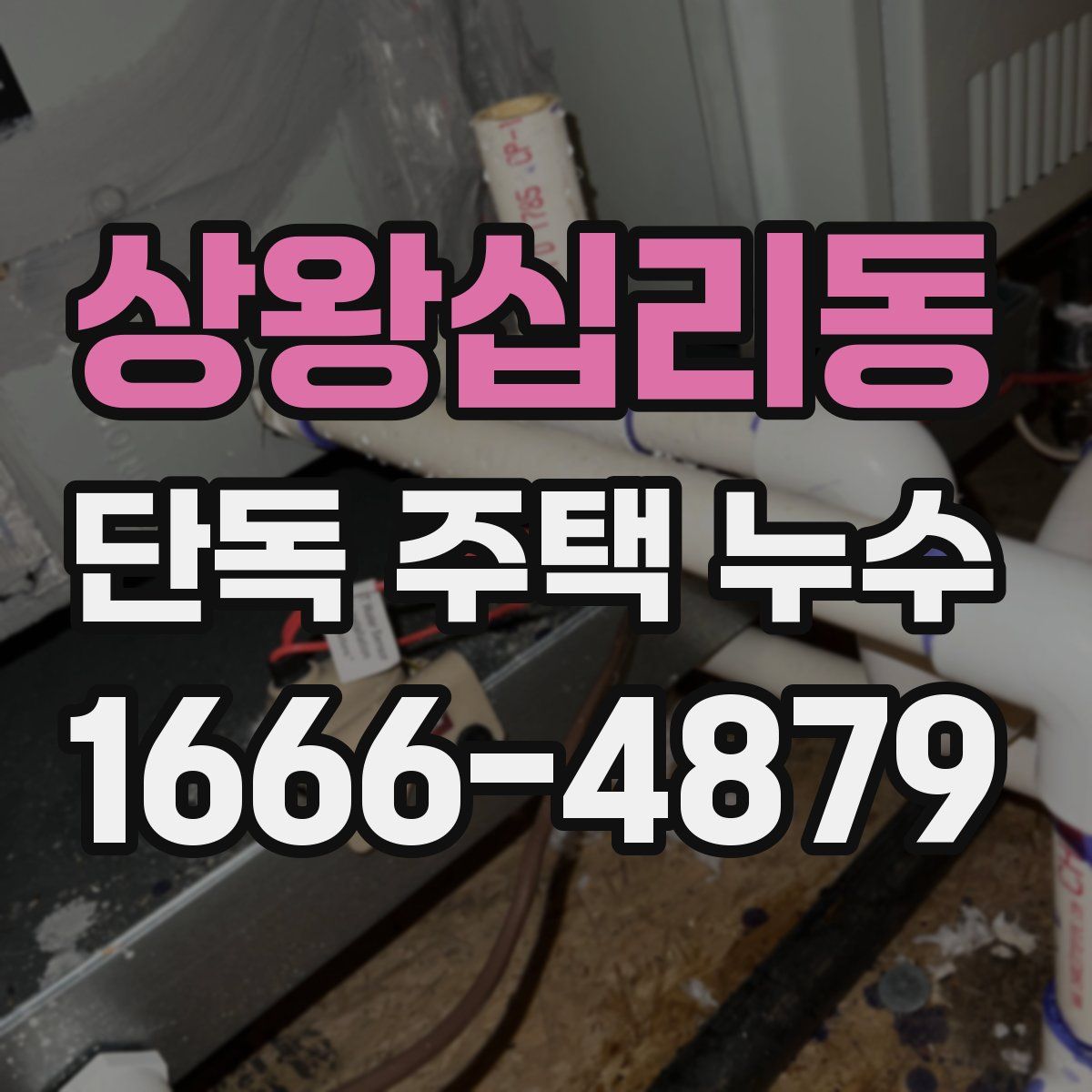 상왕십리동 단독 주택 누수