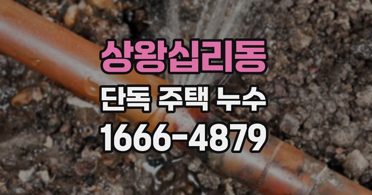 상왕십리동 단독 주택 누수