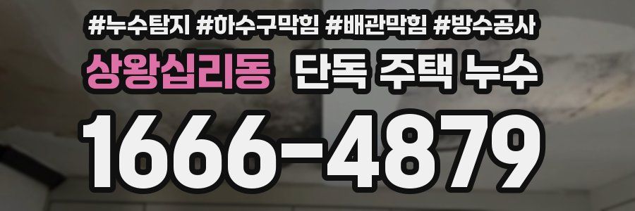 상왕십리동 단독 주택 누수
