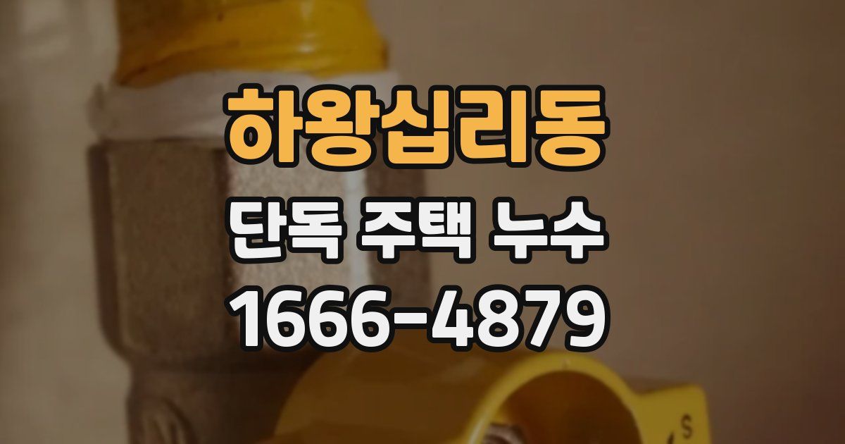 하왕십리동 단독 주택 누수