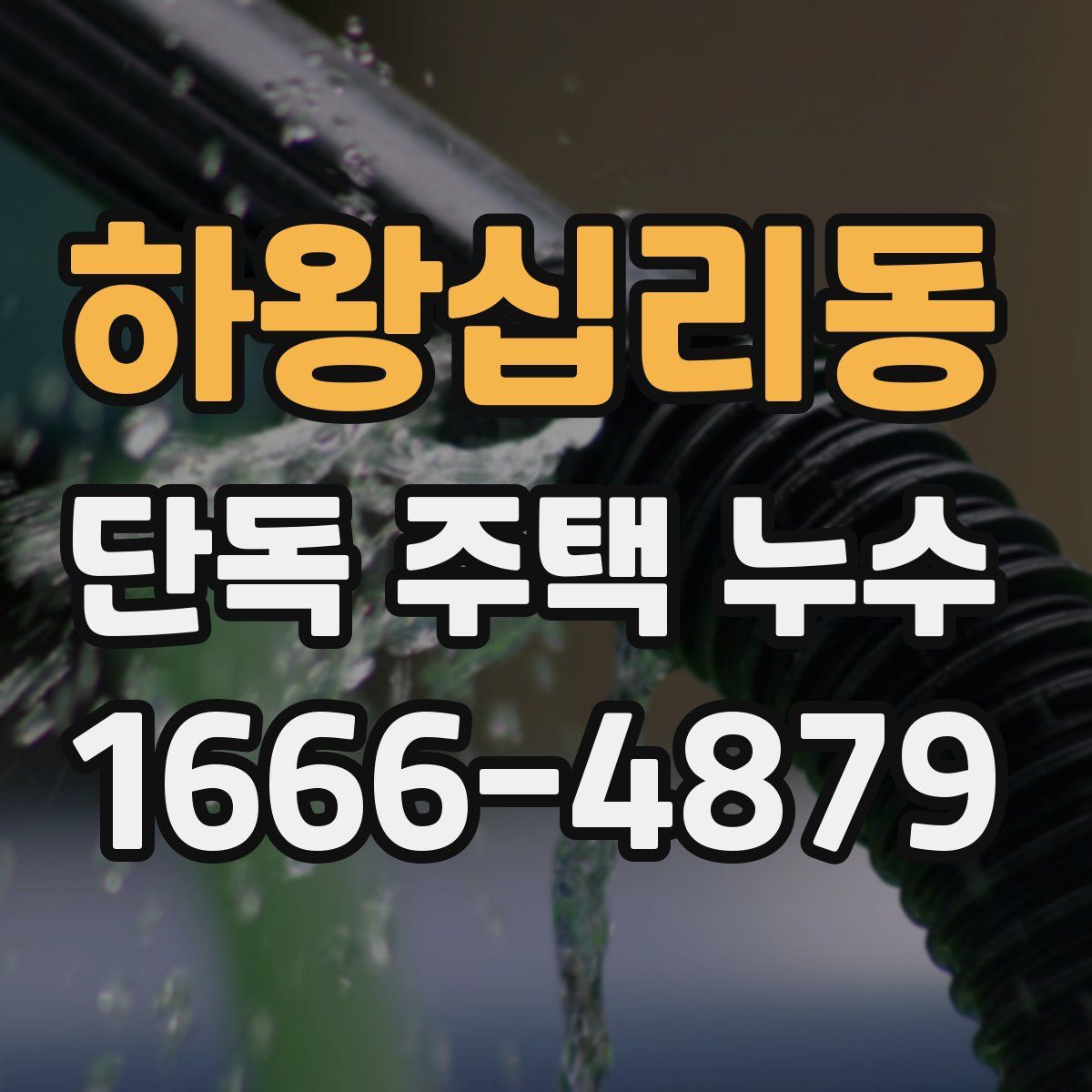 하왕십리동 단독 주택 누수
