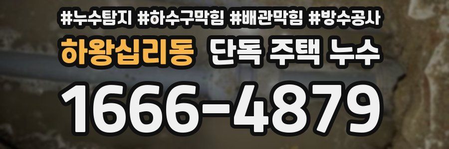 하왕십리동 단독 주택 누수
