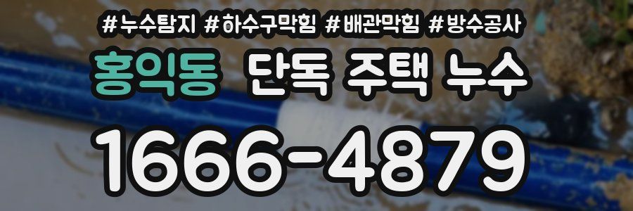 홍익동 단독 주택 누수