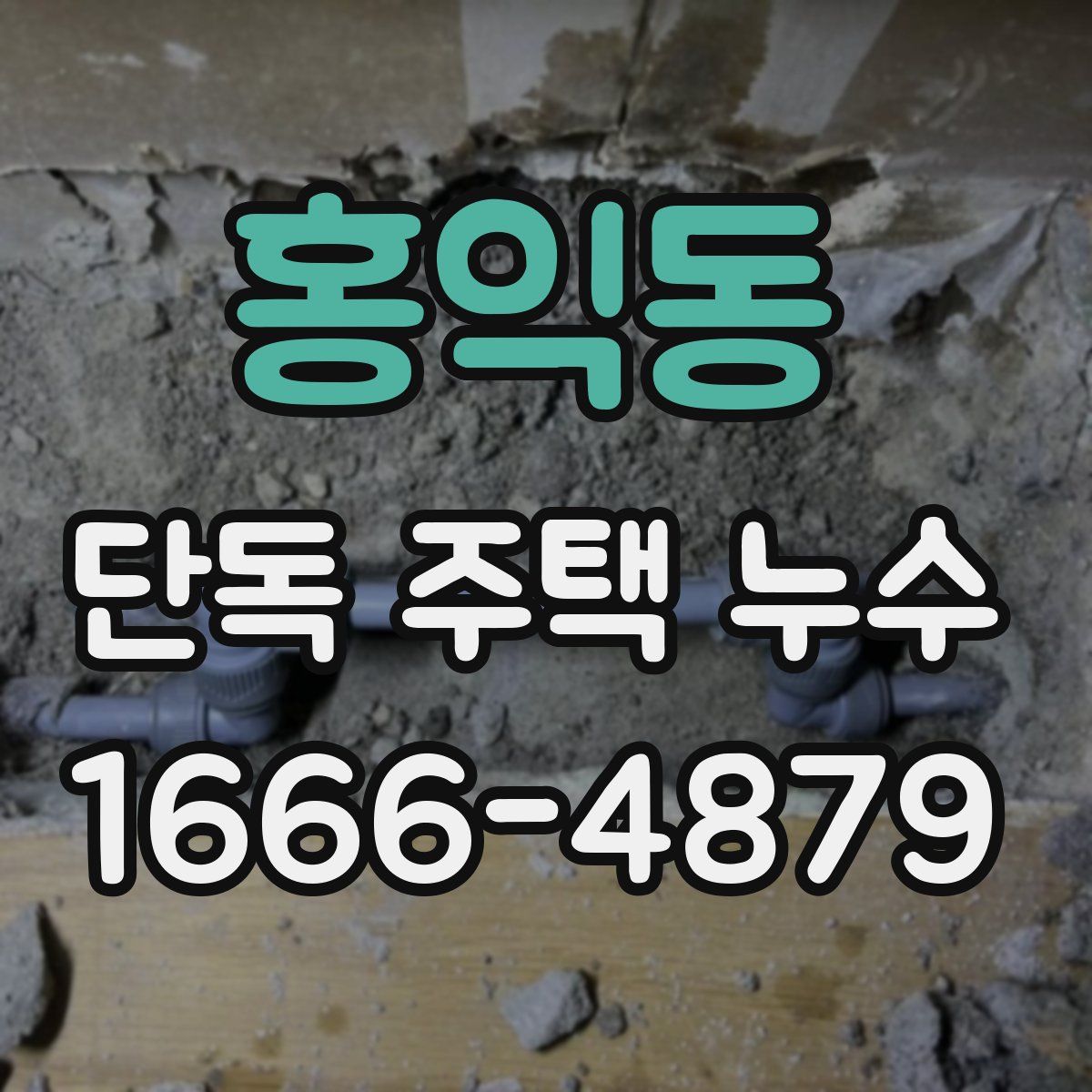 홍익동 단독 주택 누수