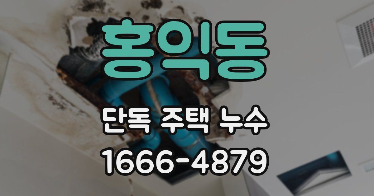 홍익동 단독 주택 누수