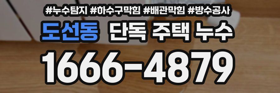 도선동 단독 주택 누수