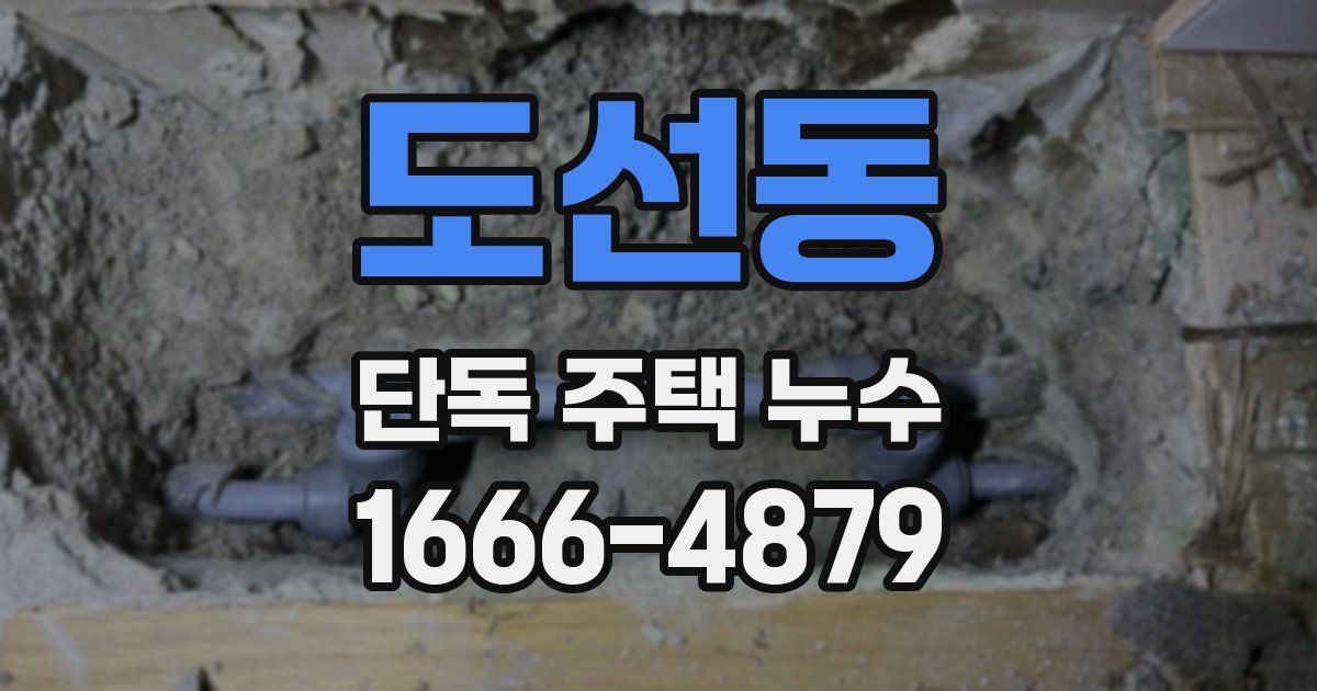 도선동 단독 주택 누수