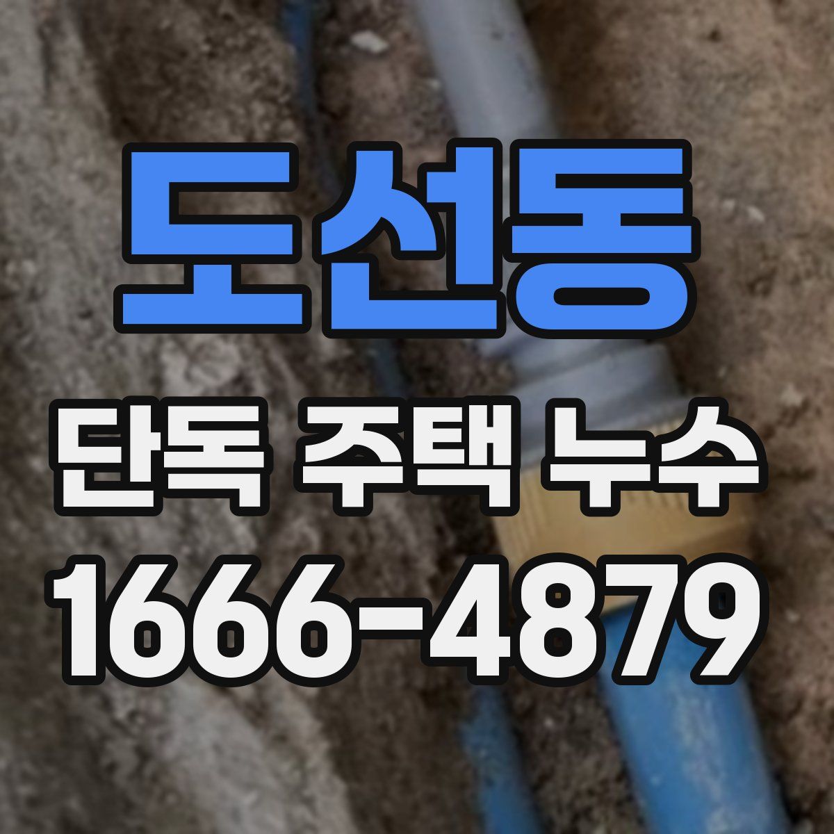 도선동 단독 주택 누수