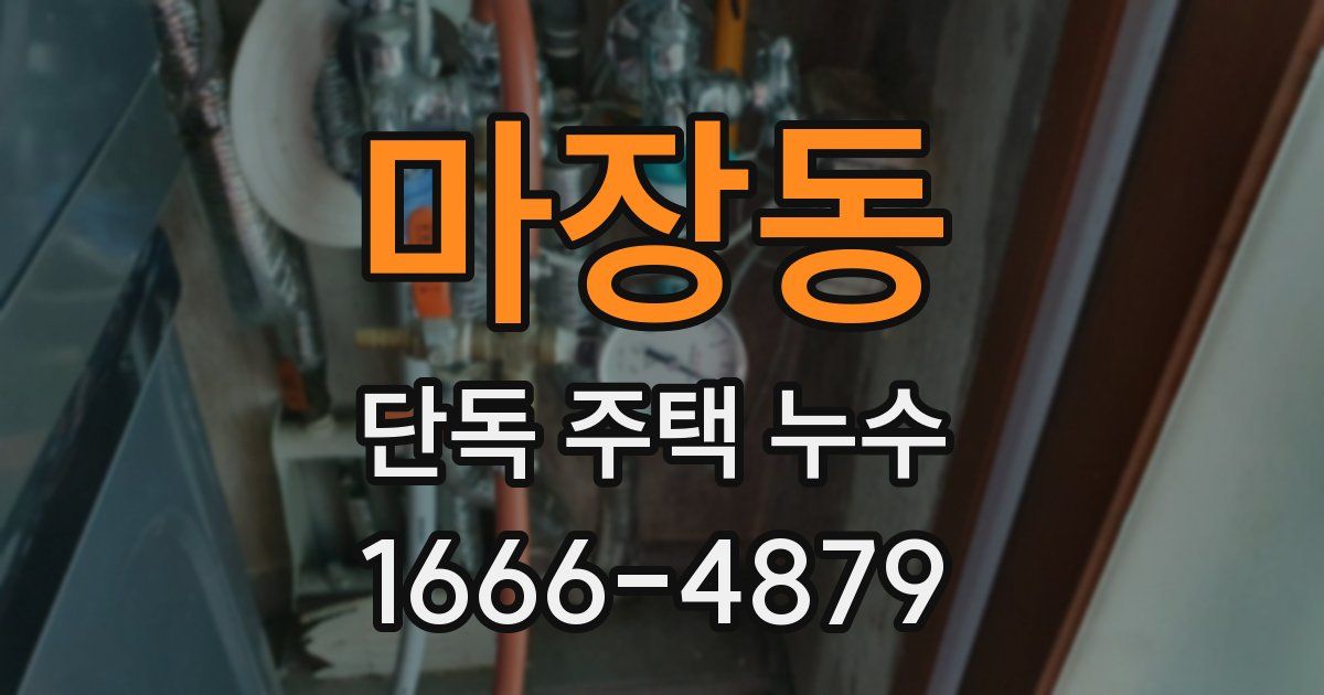 마장동 단독 주택 누수