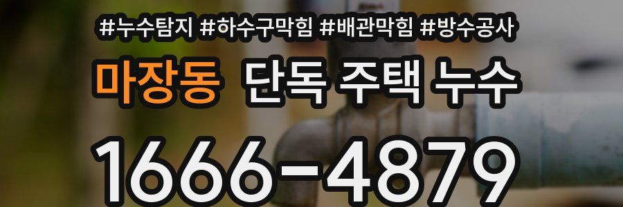 마장동 단독 주택 누수