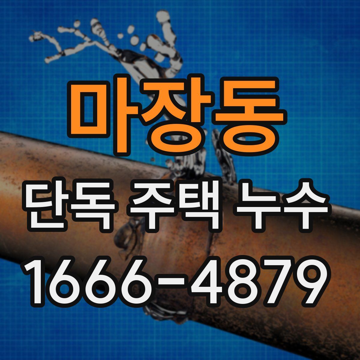 마장동 단독 주택 누수