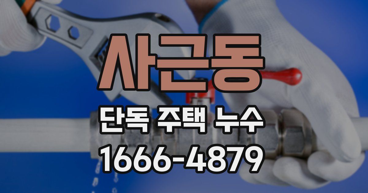 사근동 단독 주택 누수