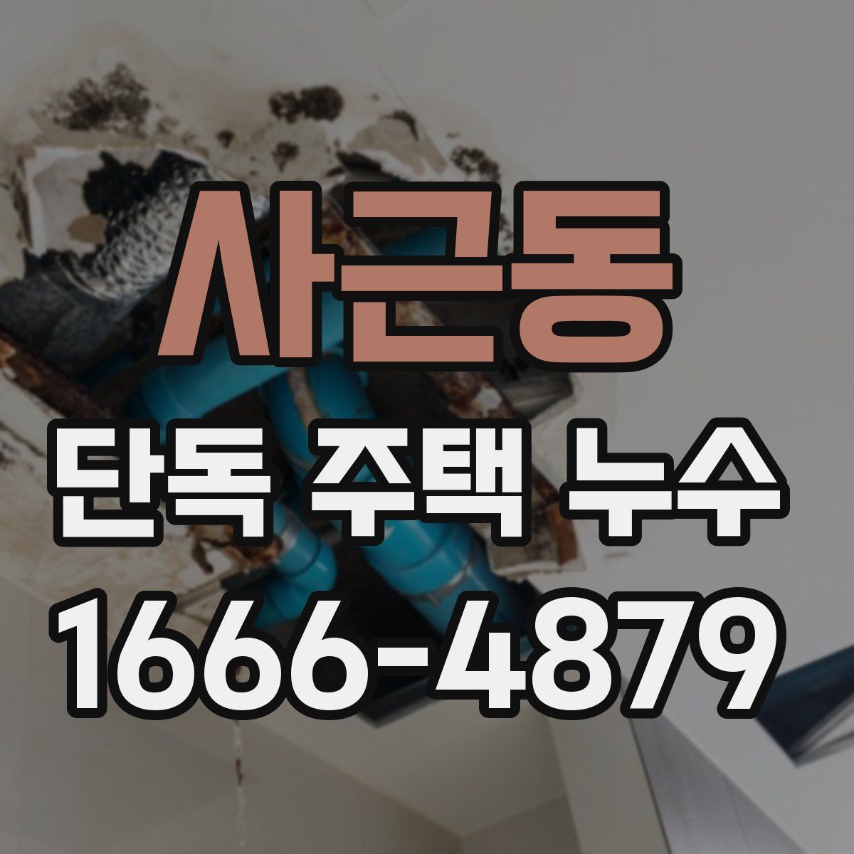 사근동 단독 주택 누수