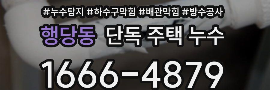 행당동 단독 주택 누수