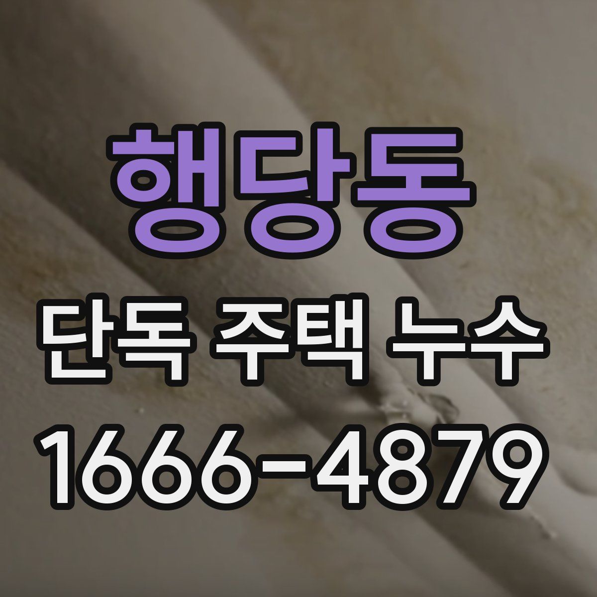 행당동 단독 주택 누수