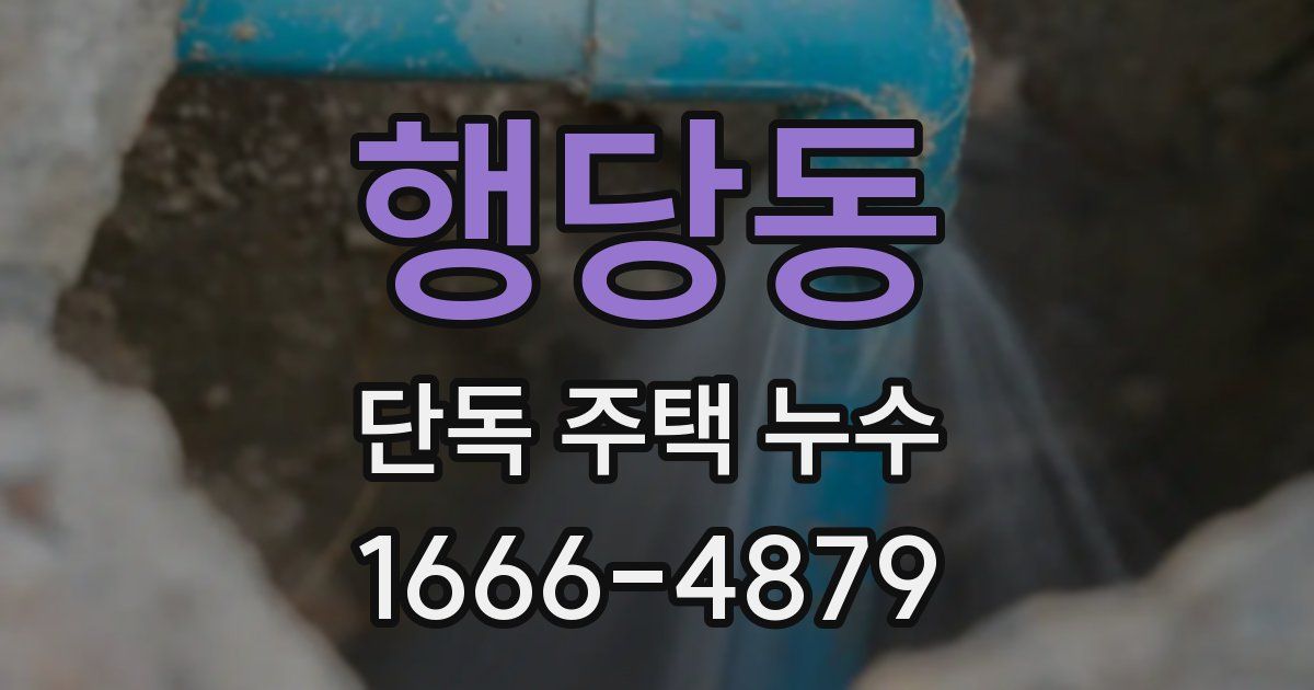 행당동 단독 주택 누수