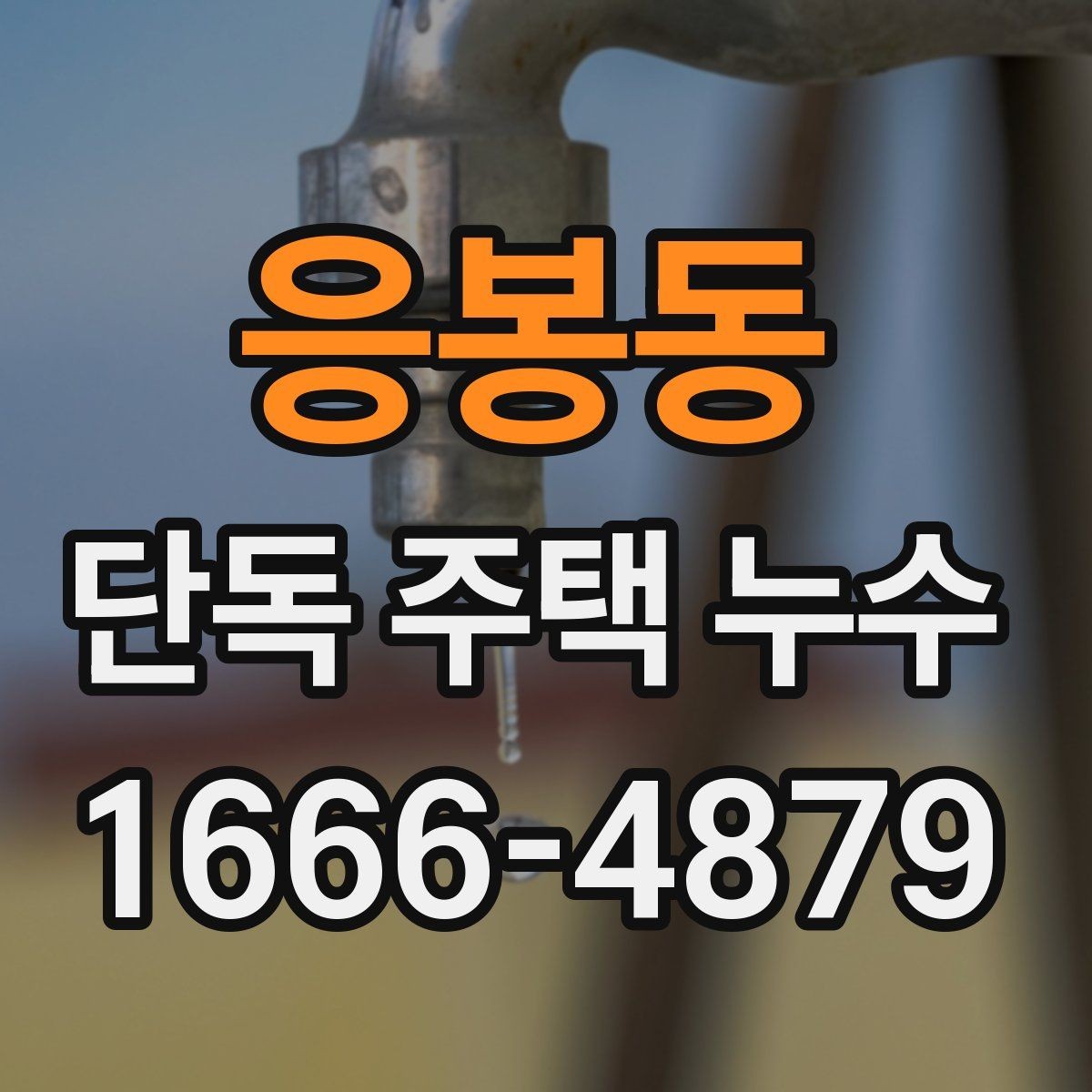 응봉동 단독 주택 누수 외부 배수 상태와의 관련성
