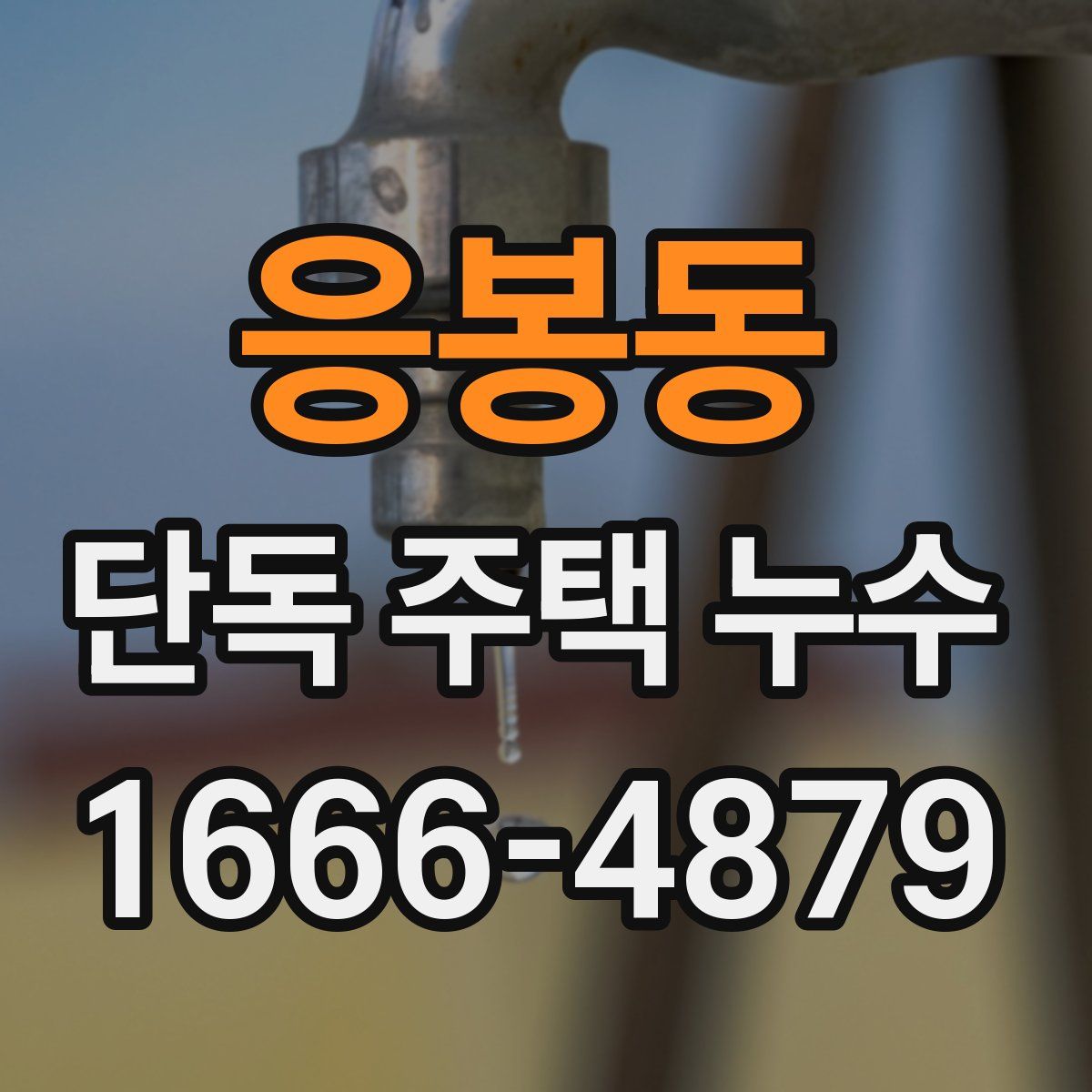 응봉동 단독 주택 누수