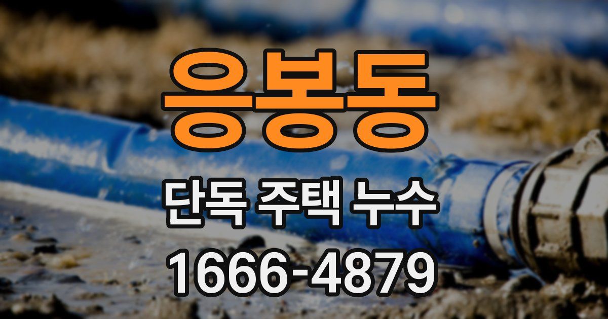 응봉동 단독 주택 누수