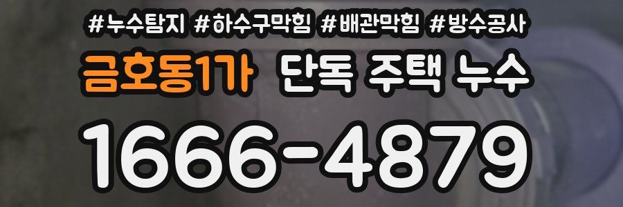 금호동1가 단독 주택 누수