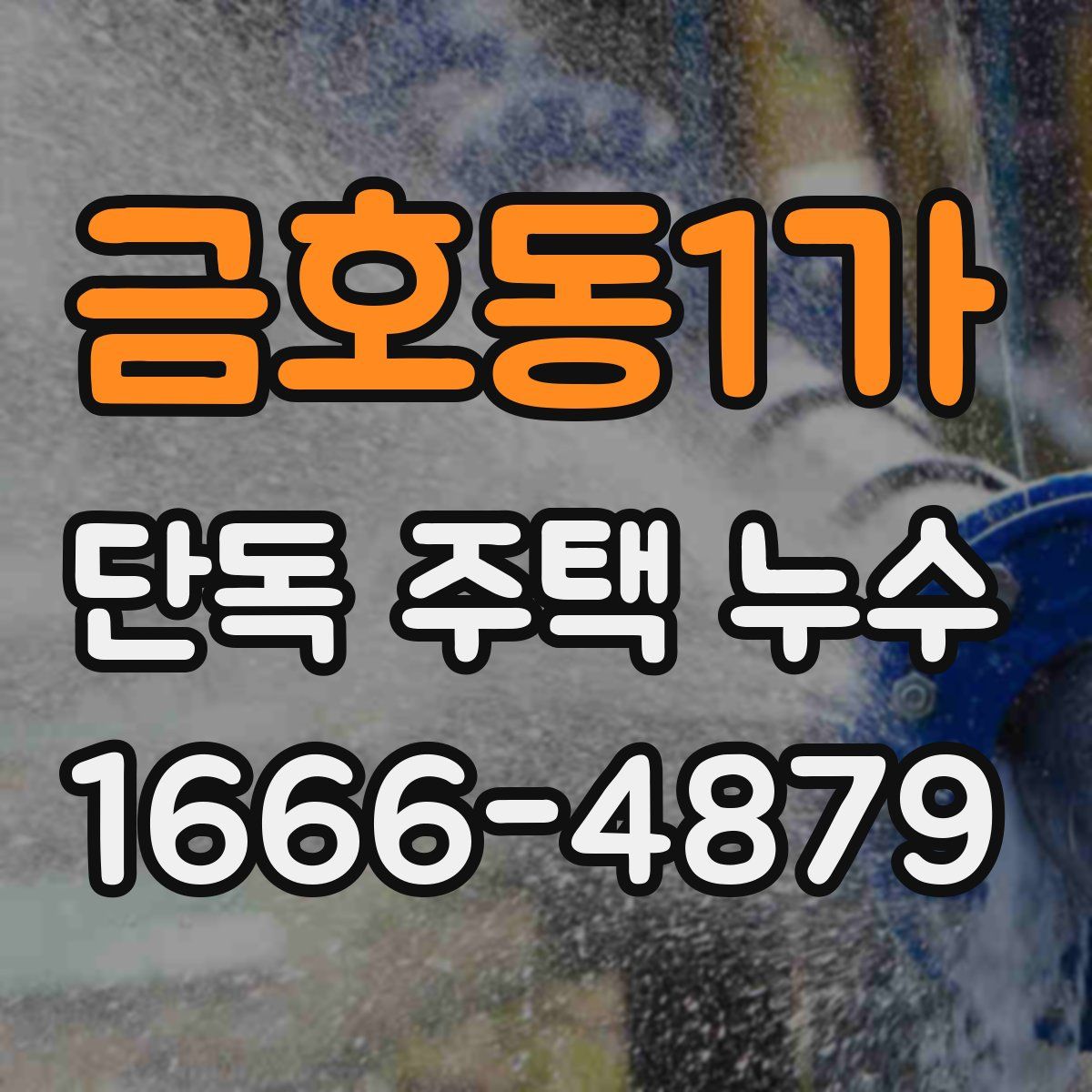 금호동1가 단독 주택 누수